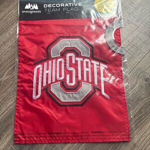 Evergreen Ohio State Decorative Team Flag - Red